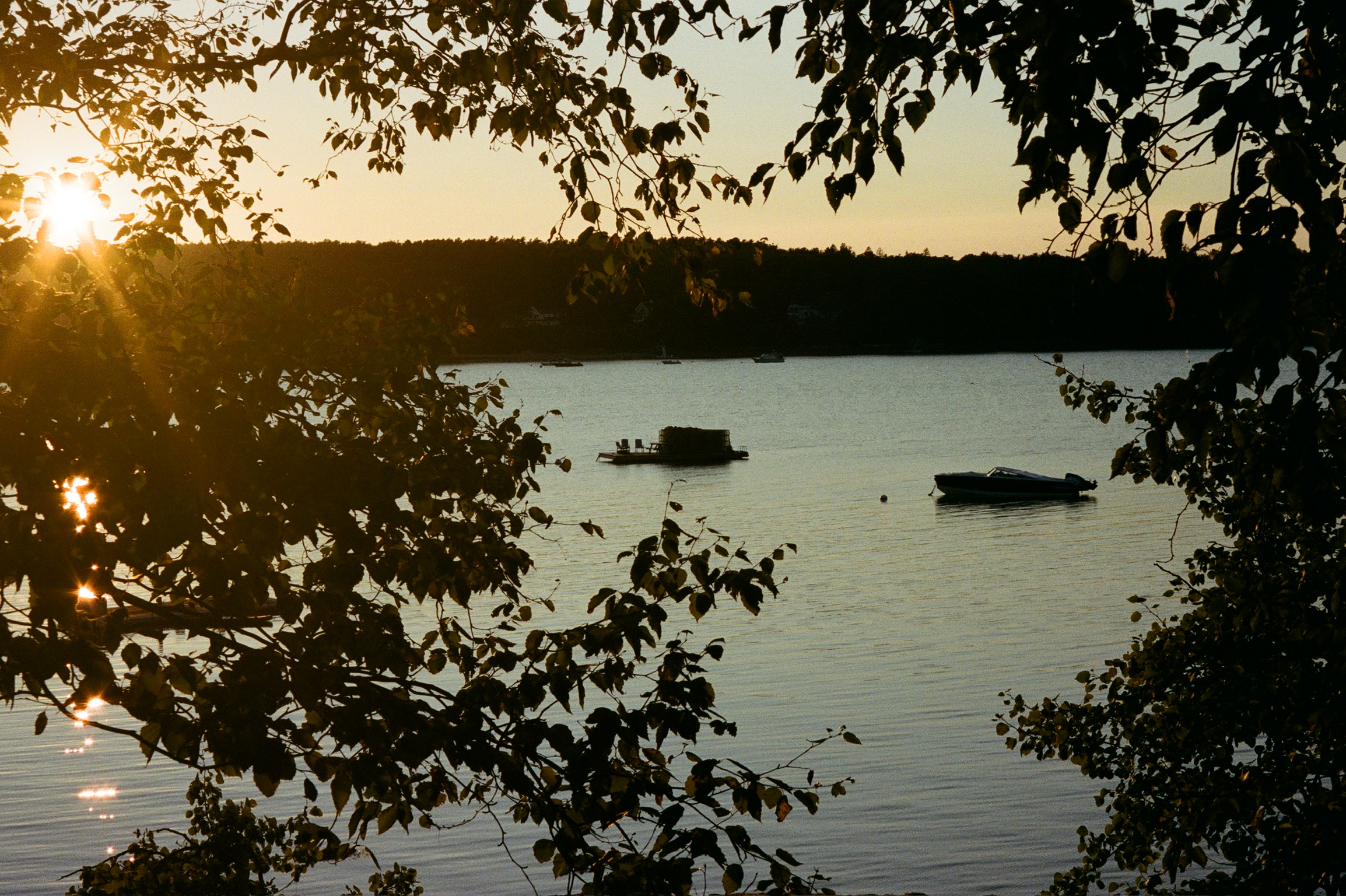 Boats on Casco Bay at golden hour through the trees